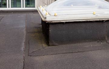 disadvantages of Mortimer West End flat roofs