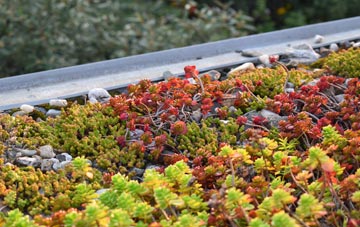the cost of Mortimer West End green roof installation
