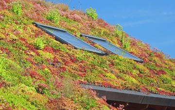 Mortimer West End living roof systems