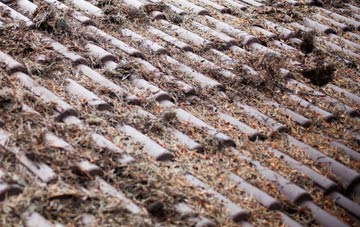 Mortimer West End roof cleaning companies